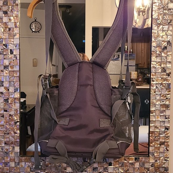 Small Dog Backpack - Picture 4 of 4